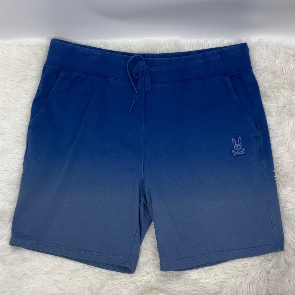 Psycho Bunny Men’s XXL Shorts - Picture 11 of 11